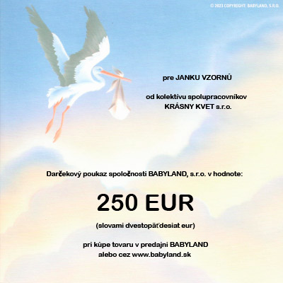 Darčeková poukážka 250 EUR