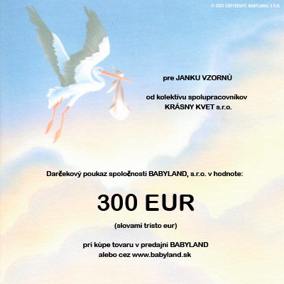 Darčeková poukážka 300 EUR